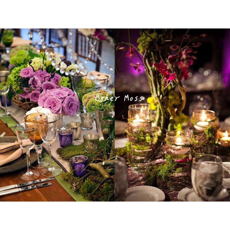 Byher 92926 Preserved Forest Moss, Fresh Green (2OZ)