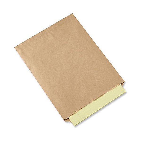 Kraft Paper Bags Flat Merchandise Bags 5 X 7.5 Inch 200 Pack