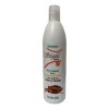Shampoo Ségala Clavo Y Canela 400 Ml Fortalece Raíz