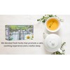 Edom Laboratories Chiro-Calm - Organic Herbal Tea for Sleep -