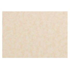 JAM PAPER Blank Flat Note Cards - 3 1/2 x 4 7/8 (Fits in 4bar A1 Envelopes) - Natural Parchment - 50/Pack