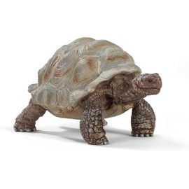 Schleich Wild Life - 3" Galapagos Giant Tortoise Figure - Realistic Turtle Toy for Boys and Girls - Wild Animal Educational Toy - Zoo Wildlife Figurine for Toddlers and Kids Ages 3+ | 13337