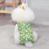 CuteBone Dog Surgery Recovery Suit Cat Surgical Onesie Female Body