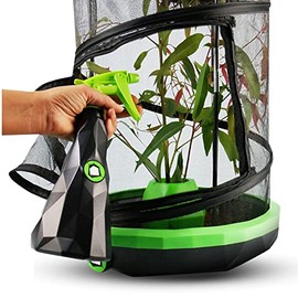 Insectimo Mister Bottle