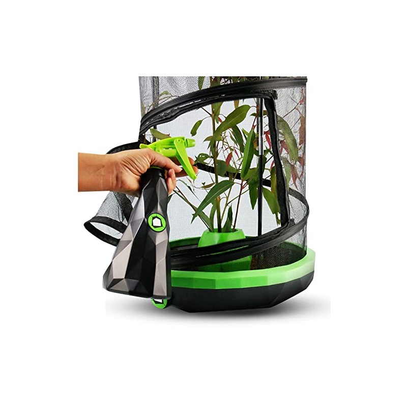 Insectimo Mister Bottle