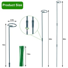 5 Pack (DIY) Plant Support Stakes, Three Sizes (12 or 24 or 36 inch) Plant Support Rings with 40 Pcs Plant Twist Ties, Garden Stake for Indoor Outdoor Plant Flowers, Amaryllis, Tomatoes, Vegetable