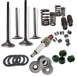 Valve Seal Spring Kit for HONDA TRX400EX TRX400X 400EX 400X 2x4 1999-2014 XR400R 1996-2004 OEM 14711-KCY-670 14721-KCY-670