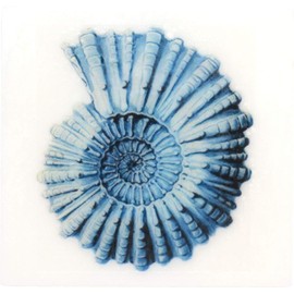 Eclectic Lady Red Hot Cinnamon Scented Glycerin Soap with Vintage Ocean Creatures, Spiral Shell