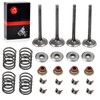 Intake Valve & Exhaust Valve and Seals & Spring &