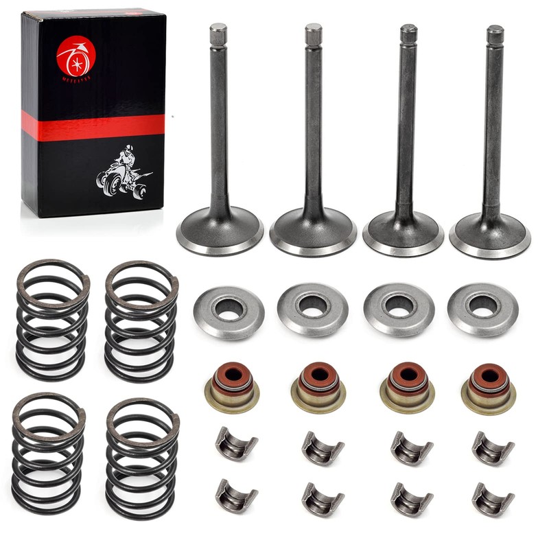 Intake Valve & Exhaust Valve and Seals & Spring &