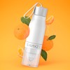 Water Bottle Fruit Infuser, BPA Free, Infusion Section, Fruit Squeezer