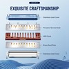 East top Harmonica D, Blues Harmonica Key of D, 10
