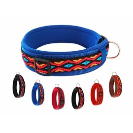 BUDDYPACK Dog Collar Extra Wide and Soft Padded for Small, Medium and Large Dogs (Colourful on Blue, L (50-55 cm))