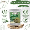 wholesale Seder Leaves Sidr leaves Bowder Moisturizing for the skin.