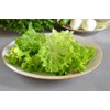 NIKA SEEDS - Seeds Vegetable Indoor Leaf Lettuce Four Seasons