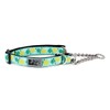 RC Pets 1" Martingale Training Collar, Medium, Pineapple Parade