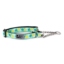 RC Pets 1" Martingale Training Collar, Medium, Pineapple Parade