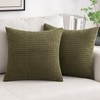 MIULEE Pack of 2 Pillow Covers Olive Green Super Soft