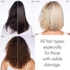Olaplex No.0 Intensive Bond Building Treatment, White, 5.2 Fl Oz