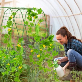 Outdoor Trellis for Climbing Plants Arch Tunnel U-Frame Trellis with Plant Support Clips for Grape Zucchini Plant Metal Tall Trellis,Green