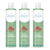 3 Shampoo Chile Romero Anti Caída Crecimiento Regalo