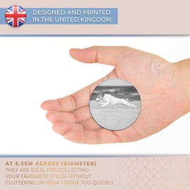 Destination Vinyl ltd Magnet for Refrigerator, Fridge BW - Cute Jack Russell Dog Puppy Beach for Office, Cabinet and Whiteboard, Magnetic Stickers, 41491