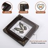 Real Butterfly Framed Handmade, Real Butterfly Specimen Shadow Box Collection,