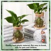 Baderke 12 Packs Propagation Vases for Plants Plastic Plant Propagation
