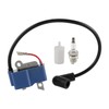 CARBBIA 581723501 Ignition Module Coil Assembly with Spark Plug Fuel