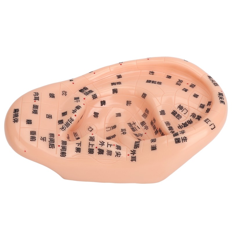 Ear Sticker Acupuncture Kit 600pcs Ear Massage Sticker Acupuncture Model