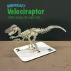 PAPER-CAPERS DINOCRAFT 02 : Velociraptor | 3D Dinosaur Paper Skeleton