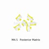 Matrix 20Pcs Dental Clear Matrix Molar Mylar Matrices Similar Bioclear