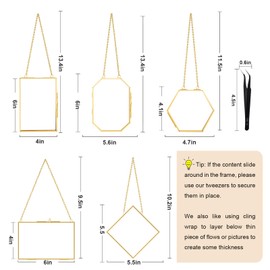 FOCHIER F 5 Pcs Pressed Flower Frames with Tweezers, Wall Hanging Tabletop Display Double Glass Frames with Metal Chain for Pressed Dried Flowers Plants, Horizontal and Vertical Picture Frame, Golden