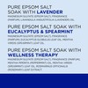 Dr Teal's Pure Epsom Salt, Lavender, Eucalyptus & Wellness Trio