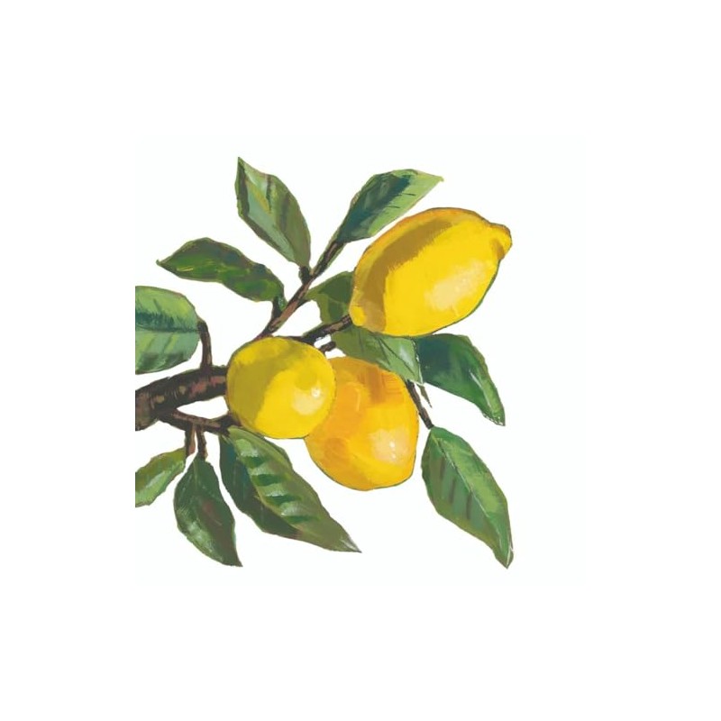 Lemon-Themed Cocktail Napkins 40 Count - Lemon Musee, Lemon Musee