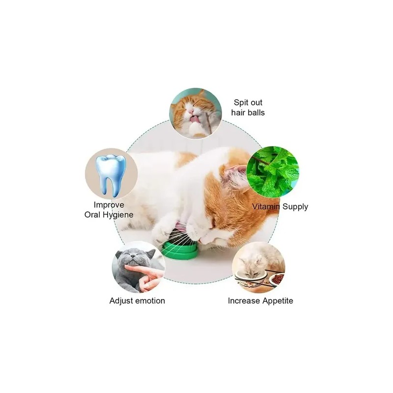 Catnip Pelota Giratoria Gatos 1 Bola Hierba Gatera Juguete