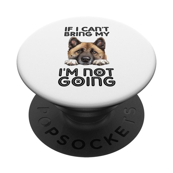 American Akita Wenn ich meinen Hund nicht mitbringen kann, gehe