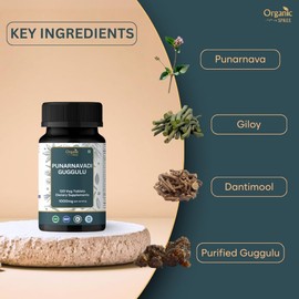 ORGANIC SPREE Punarnavadi Guggulu 120 Tablets - Supports Kidney Function* - Ayurvedic Formulation - Certified and Vegetarian (1)