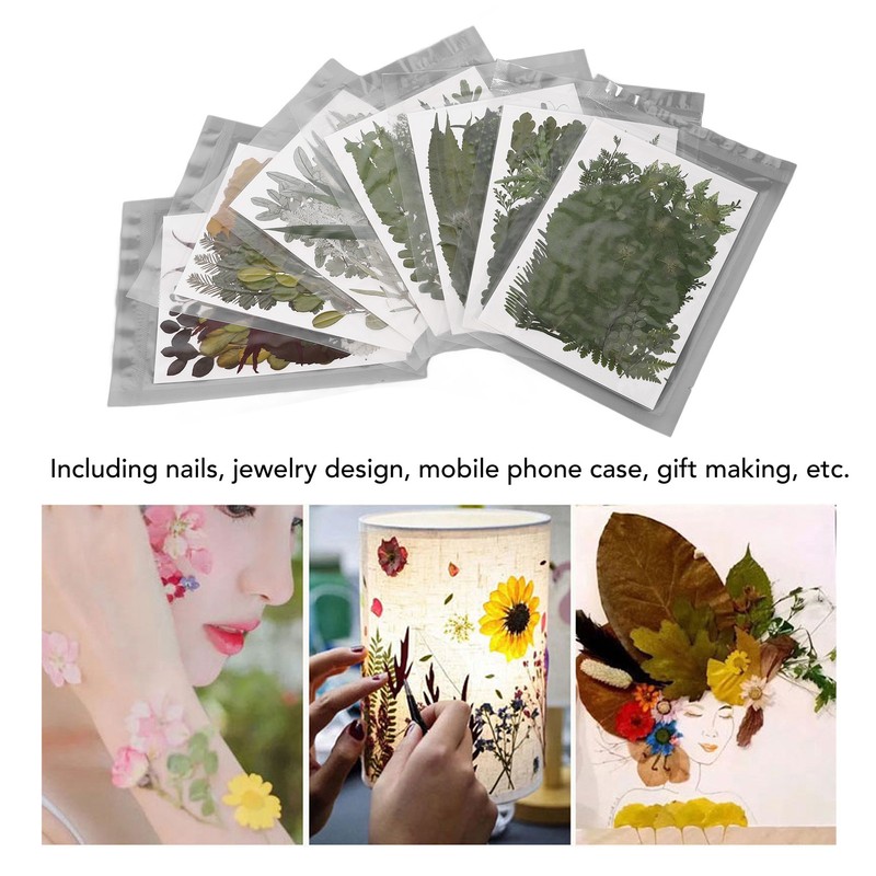 Natural Dried Pressed Flowers Plants Kit for DIY Crafts Jewelry