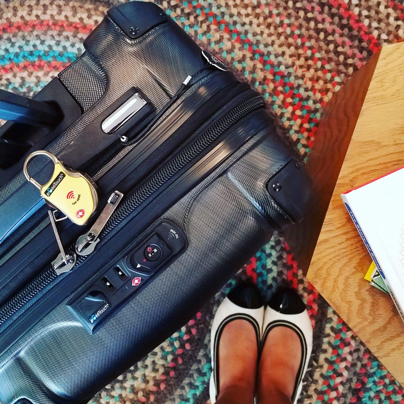 eGeeTouch Smart TSA Travel Lock-Secure & Track your Luggage/Backpack anywhere