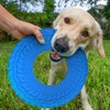 Nerf Dog Rubber Tire Flyer Dog Toy, Flying Disc, Lightweight,