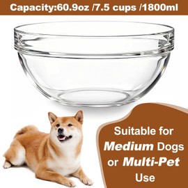 Replacement Glass Bowl for Feoyoho 7.2in Feeder Stand – 60.9 oz / 7.5 Cups (Replacement Only), Dishwasher & Microwave Safe