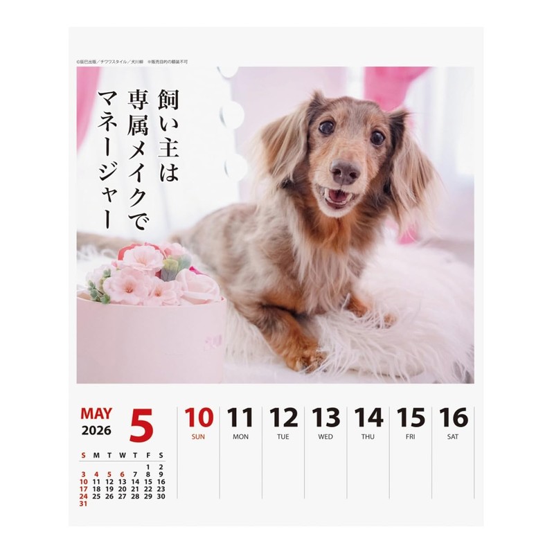 2026 Calendar Ducks Senryu (Weekly Turning)