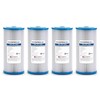 Hydronix SPC-45-1030 R30-BB & RS6 Compatible Whole House Sediment Pleated