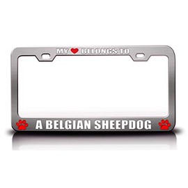 My Heart Belongs to A Belgian Sheepdog Pet Cats Dogs Metal License Plate Frame Style 5 Chrome