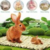 COTELEEC 2 PCS Rabbit Grass Mats, Natural Straw Hay Woven