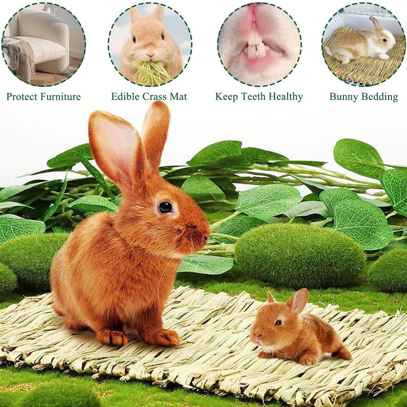 COTELEEC 2 PCS Rabbit Grass Mats, Natural Straw Hay Woven