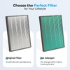 LUFTRUM C3500 Pet Odor Remover Air Purifier Replacement Filter Set,