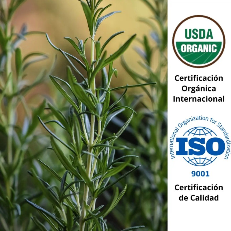 Oleum Vitae Aceite Esencial 100% Puro De Romero 120ml