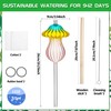 11 oz Large Plant Watering Globes, Glass Self Watering Globes,